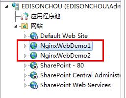 借助Nginx搭建反向代理服務(wù)器