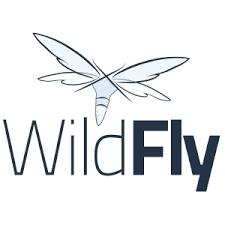 Java應(yīng)用服務(wù)器對(duì)比 Tomcat、Jetty、 GlassFish、WildFly