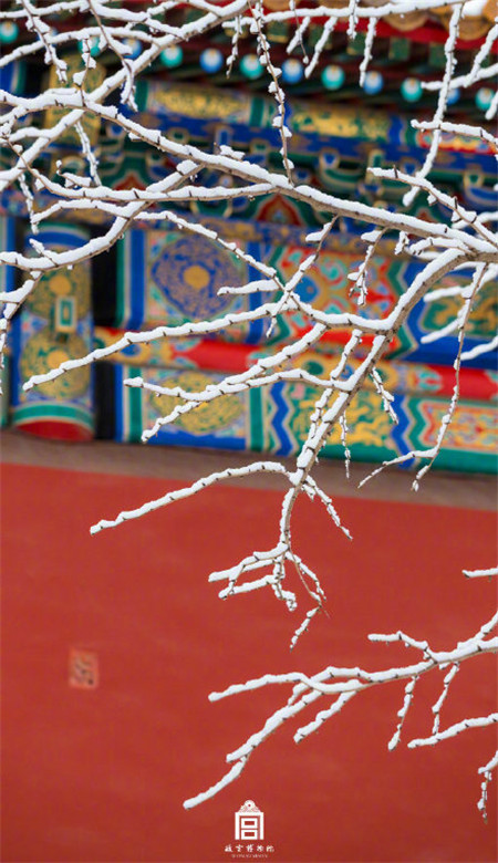 故宮雪景壁紙上新 2020最新故宮雪景壁紙