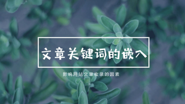 網站為什么需要有規律性的更新高質量文章？這么做的原因是什么？