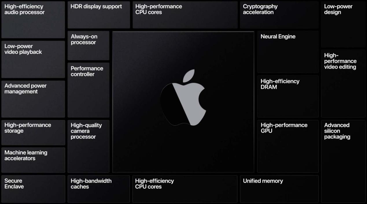 蘋果 WWDC 2020“全家桶”大升級，大家卻最關心這一點