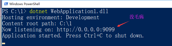 asp.net core 修改默認端口的幾種方法