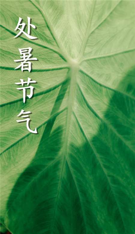 2020處暑節氣手機壁紙清新風 處暑風景壁紙自然風光