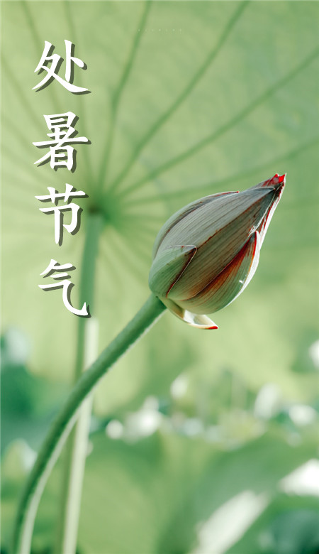 2020處暑節氣手機壁紙清新風 處暑風景壁紙自然風光