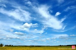 詳解Java中native方法的使用