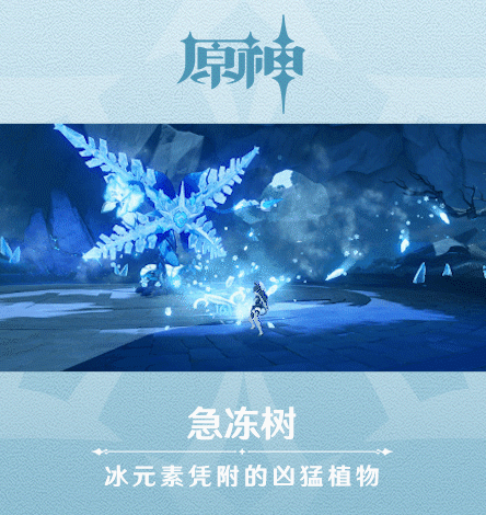 原神急凍樹在哪里 急凍樹位置和技能介紹
