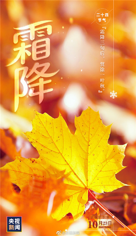 2020霜降節氣帶字壁紙圖片 秋天最后一個節氣壁紙