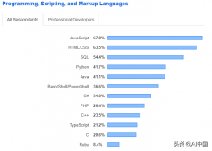 為什么Java仍將是未來的主流語言？