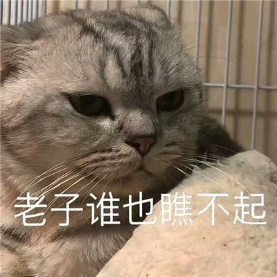 看了想罵人的惡搞暴走表情包 總有遠方可以奔赴