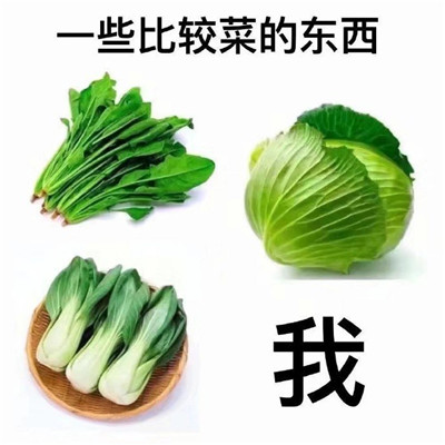 看了想罵人的惡搞暴走表情包 總有遠方可以奔赴