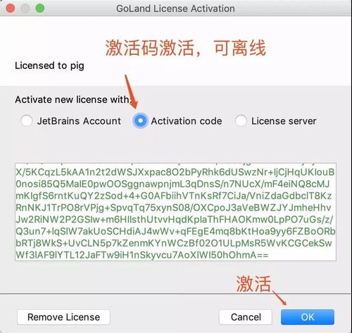 Goland激活碼破解永久版及安裝詳細教程(親測可以)