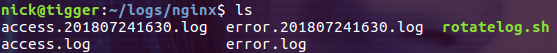 滾動 docker 中的 nginx 日志思路詳解