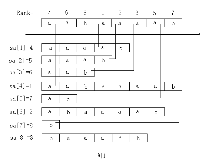 Java后綴數(shù)組之求sa數(shù)組的實(shí)例代碼