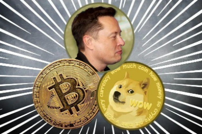 elon是什么幣 elon在哪里買