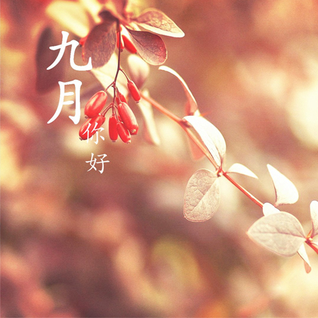 2021八月再見九月你好唯美勵志的圖片 2021九月超級好看的發朋友圈素材