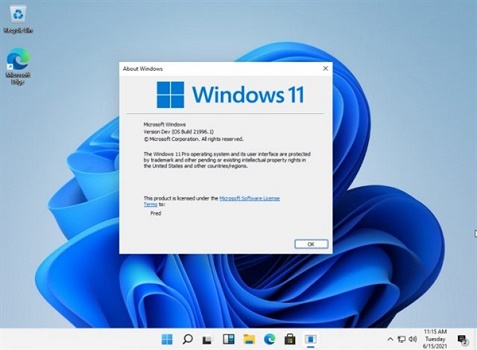 Win11重置失敗怎么辦？Win11重置失敗解決方法