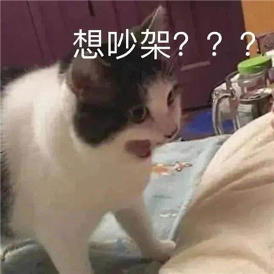 2022全新吵架專用聊天表情合集 你爸爸我絕不認輸