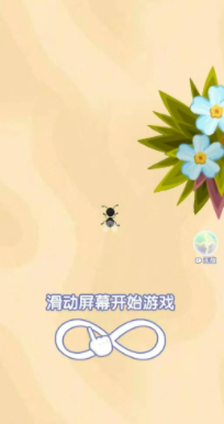 召喚神鳳鏈接入口 召喚神鳳怎么玩