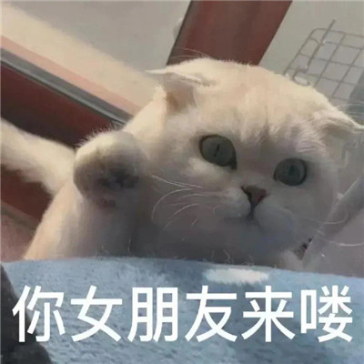 超級有趣的撒嬌賣萌的表情最新 很萌很有趣的實(shí)用表情