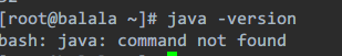 Linxu服務器上安裝JDK 詳細步驟