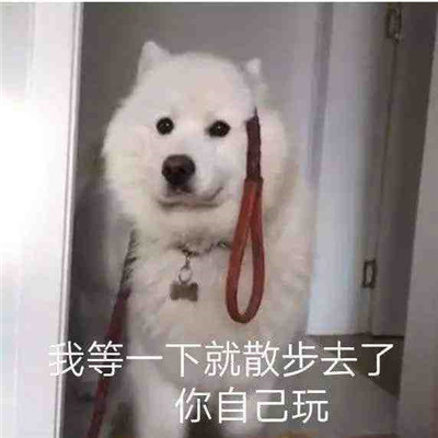 2022最新版聊天趣味表情合集 小貓咪也會(huì)有煩惱