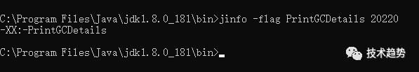 基于JVM-jinfo的使用方式