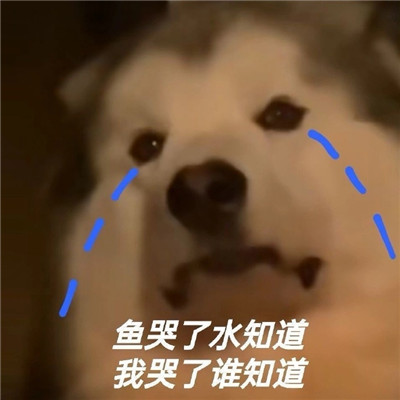熱門表情2022全新很搞笑 魚(yú)哭了水知道我哭了誰(shuí)知道