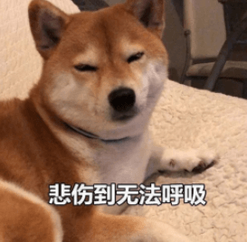 Python 短視頻爬蟲教程