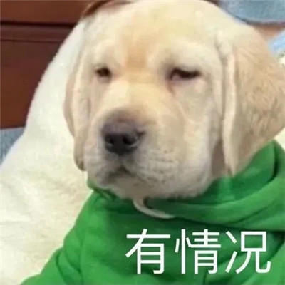 最新版群聊用的表情包大全 這個群讓我感到好迷茫