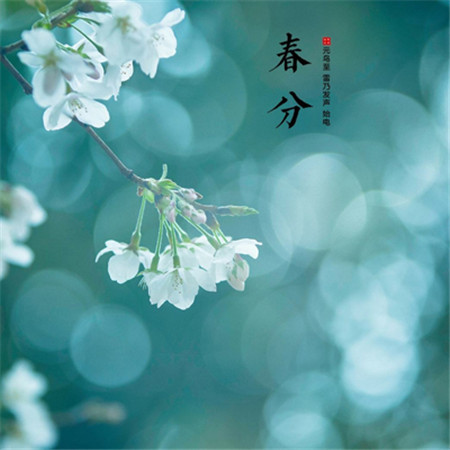 2022春分節氣發朋友圈唯美素材 很好看的春分節日素材合集