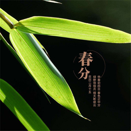 2022春分節氣發朋友圈唯美素材 很好看的春分節日素材合集