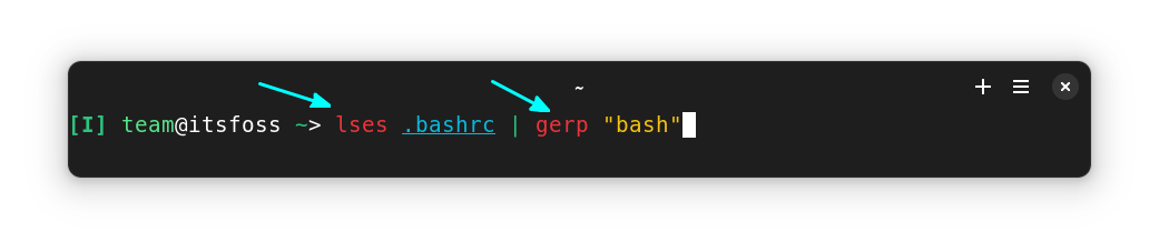 讓 Fish Shell 比 Bash 更好的 11 大特性