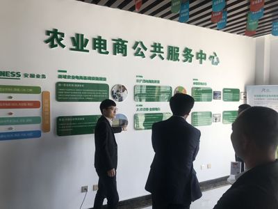 經典電商化開發 