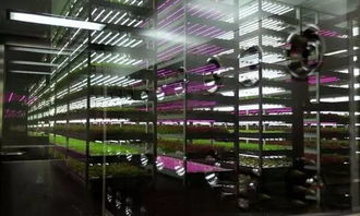 經(jīng)濟(jì)見底回升中的新經(jīng)濟(jì)亮點(diǎn) 生物制劑研發(fā)引領(lǐng)產(chǎn)業(yè)升級(jí)