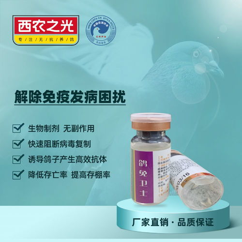 西農(nóng)之光 鴿免衛(wèi)士——賽鴿疫苗伴侶的生物制劑革命